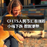 CFETS人民币汇率指数小幅下跌 数据更新(图2) CFETS人民币汇率指数小幅下跌 数据更新(图2)