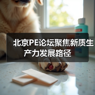 北京PE论坛聚焦新质生产力发展路径(图2) 北京PE论坛聚焦新质生产力发展路径(图2)