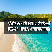 特色农业如何助力乡村振兴?新技术带来丰收新可能(图4) 特色农业如何助力乡村振兴?新技术带来丰收新可能(图4)
