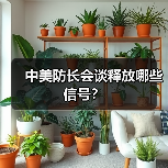 中美防长会谈释放哪些信号?(图1) 中美防长会谈释放哪些信号?(图1)
