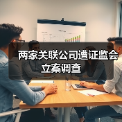 两家关联公司遭证监会立案调查(图2) 两家关联公司遭证监会立案调查(图2)
