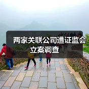 两家关联公司遭证监会立案调查(图3) 两家关联公司遭证监会立案调查(图3)