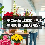 中国东盟自贸区3.0版升级如何推动区域经济一体化?(图1) 中国东盟自贸区3.0版升级如何推动区域经济一体化?(图1)