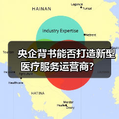 央企背书能否打造新型医疗服务运营商?(图4) 央企背书能否打造新型医疗服务运营商?(图4)