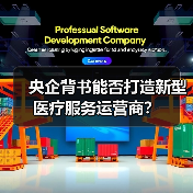央企背书能否打造新型医疗服务运营商?(图2) 央企背书能否打造新型医疗服务运营商?(图2)