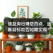 埃及央行降息百点，通胀目标能否如期实现？（图3）