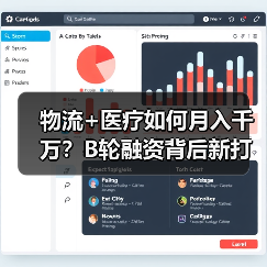 物流+医疗如何月入千万？B轮融资背后新打法揭秘（图4）