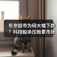 东京股市为何大幅下跌?科技股承压拖累市场(图2) 东京股市为何大幅下跌?科技股承压拖累市场(图2)