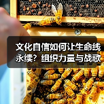文化自信如何让生命线永续?组织力量与战歌传承的双重密码(图1) 文化自信如何让生命线永续?组织力量与战歌传承的双重密码(图1)