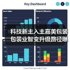 科技新主入主嘉美包装 包装业智变升级路径曝光(图4) 科技新主入主嘉美包装 包装业智变升级路径曝光(图4)