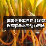美国失业率微降 非农数据疲软暴露劳动力市场隐忧(图2) 美国失业率微降 非农数据疲软暴露劳动力市场隐忧(图2)