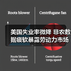美国失业率微降 非农数据疲软暴露劳动力市场隐忧(图3) 美国失业率微降 非农数据疲软暴露劳动力市场隐忧(图3)