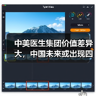 中美医生集团价值差异大，中国未来或出现四种融合趋势（图4）