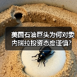 美国石油巨头为何对委内瑞拉投资态度谨慎?(图4) 美国石油巨头为何对委内瑞拉投资态度谨慎?(图4)