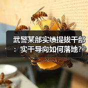 武警某部实绩提拔干部:实干导向如何落地?(图2) 武警某部实绩提拔干部:实干导向如何落地?(图2)