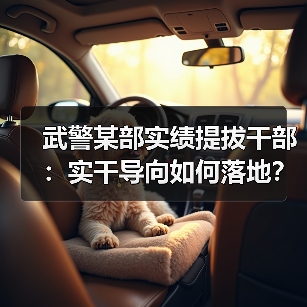 武警某部实绩提拔干部:实干导向如何落地?(图3) 武警某部实绩提拔干部:实干导向如何落地?(图3)