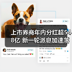 上市券商年内分红超548亿 新一轮派息加速落地(图4) 上市券商年内分红超548亿 新一轮派息加速落地(图4)