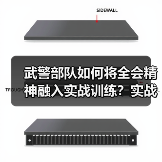 武警部队如何将全会精神融入实战训练？实战化演练锻造硬核战斗力（图4）