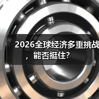 2026全球经济多重挑战,能否挺住?(图4) 2026全球经济多重挑战,能否挺住?(图4)