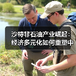 沙特非石油产业崛起:经济多元化如何重塑中东未来?(图1) 沙特非石油产业崛起:经济多元化如何重塑中东未来?(图1)