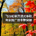飞行街景沉浸式体验,商家推广效率新突破(图4) 飞行街景沉浸式体验,商家推广效率新突破(图4)