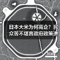 日本大米为何高企?民众苦不堪言政府政策遭质疑(图3) 日本大米为何高企?民众苦不堪言政府政策遭质疑(图3)