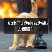 纪律严明为何成为战斗力保障？（图4）