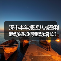 深市半年报近八成盈利 新动能如何驱动增长？（图3）