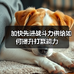 加快先进战斗力供给如何提升打赢能力