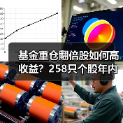 基金重仓翻倍股如何高收益？258只个股年内涨超一倍（图4）