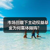 市场回暖下主动权益基金为何集体限购?(图1) 市场回暖下主动权益基金为何集体限购?(图1)