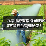 九寨沟游客接待量破600万背后的管理秘诀?这些措施如何实现高效运营?(图4) 九寨沟游客接待量破600万背后的管理秘诀?这些措施如何实现高效运营?(图4)