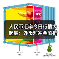 人民币汇率今日行情大起底：外币对冲全解析（图3）