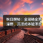 秋日探秘：金湖杨金黄漫野，沉浸式体验泽普胡杨文化！（图3）