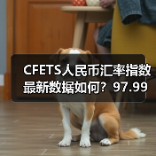 CFETS人民币汇率指数最新数据如何？97.99上涨0.35%（图3）