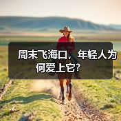 周末飞海口,年轻人为何爱上它?(图1) 周末飞海口,年轻人为何爱上它?(图1)