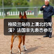 格陵兰岛将上演北约军演？法国率先表态参与（图4）