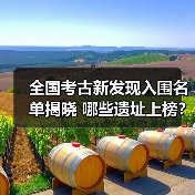 全国考古新发现入围名单揭晓 哪些遗址上榜?(图3) 全国考古新发现入围名单揭晓 哪些遗址上榜?(图3)