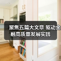 聚焦五篇大文章 驱动金融高质量发展实践（图2）