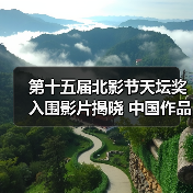 第十五届北影节天坛奖入围影片揭晓 中国作品仅3部（图3）