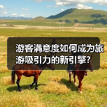 游客满意度如何成为旅游吸引力的新引擎？（图2）