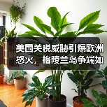 美国关税威胁引爆欧洲怒火,格陵兰岛争端如何影响跨大西洋关系?(图4) 美国关税威胁引爆欧洲怒火,格陵兰岛争端如何影响跨大西洋关系?(图4)