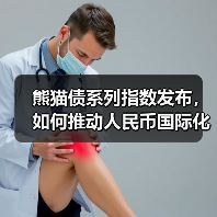 熊猫债系列指数发布,如何推动人民币国际化?(图3) 熊猫债系列指数发布,如何推动人民币国际化?(图3)