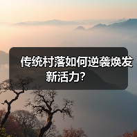 传统村落如何逆袭焕发新活力？（图2）