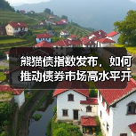 熊猫债指数发布,如何推动债券市场高水平开放?(图4) 熊猫债指数发布,如何推动债券市场高水平开放?(图4)