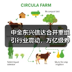 中金东兴信达合并重组引行业震动,万亿级券商将诞生(图3) 中金东兴信达合并重组引行业震动,万亿级券商将诞生(图3)