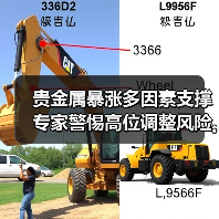 贵金属暴涨多因素支撑 专家警惕高位调整风险（图1）