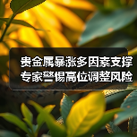 贵金属暴涨多因素支撑 专家警惕高位调整风险（图4）
