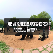 老城街旧建筑藏着怎样的生活智慧?(图4) 老城街旧建筑藏着怎样的生活智慧?(图4)