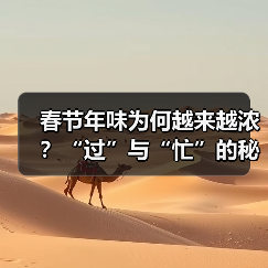 春节年味为何越来越浓？“过”与“忙”的秘密是什么？（图3）